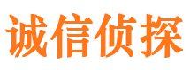 武陵源侦探公司